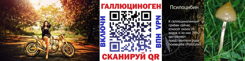 где купить наркоту  Бабаево  Галлюциногенные грибы Psilocybe 